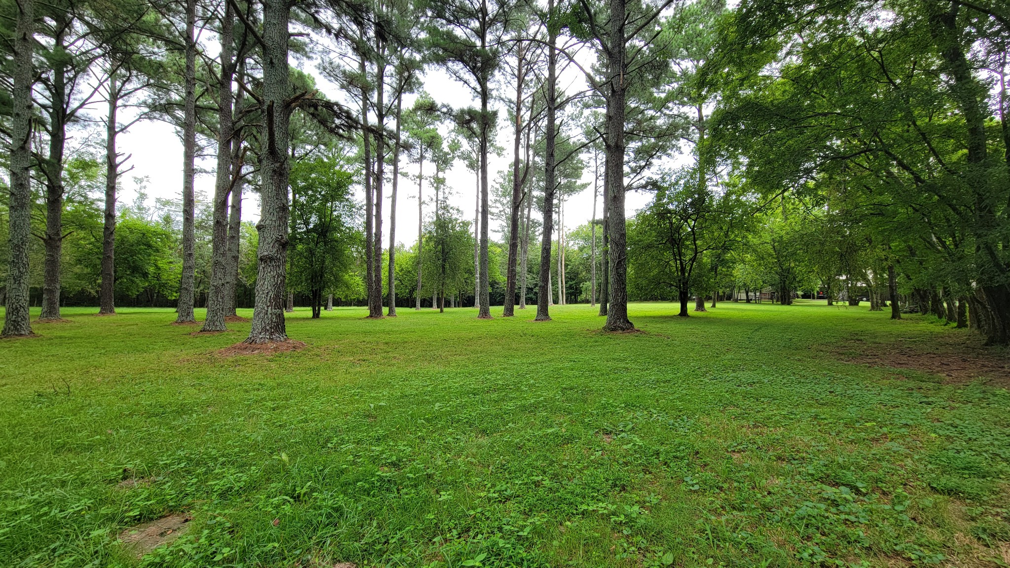4331 Lebanon Rd