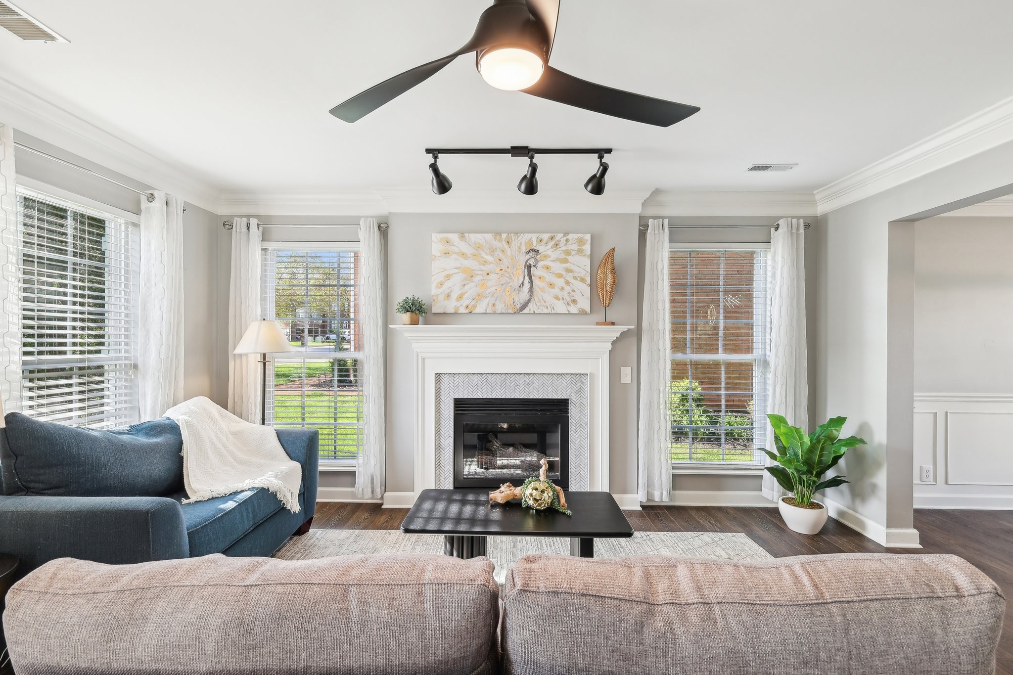 245 Wisteria Dr