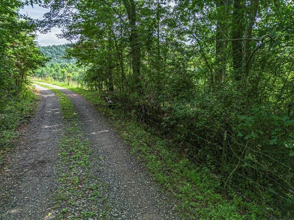541 Pleasant Hill Road