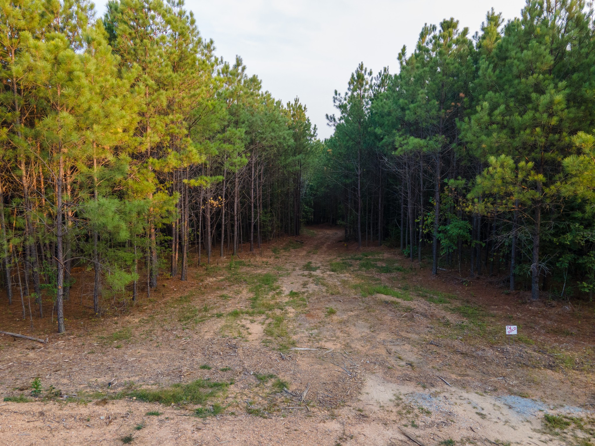 538 Seiber Ridge Road