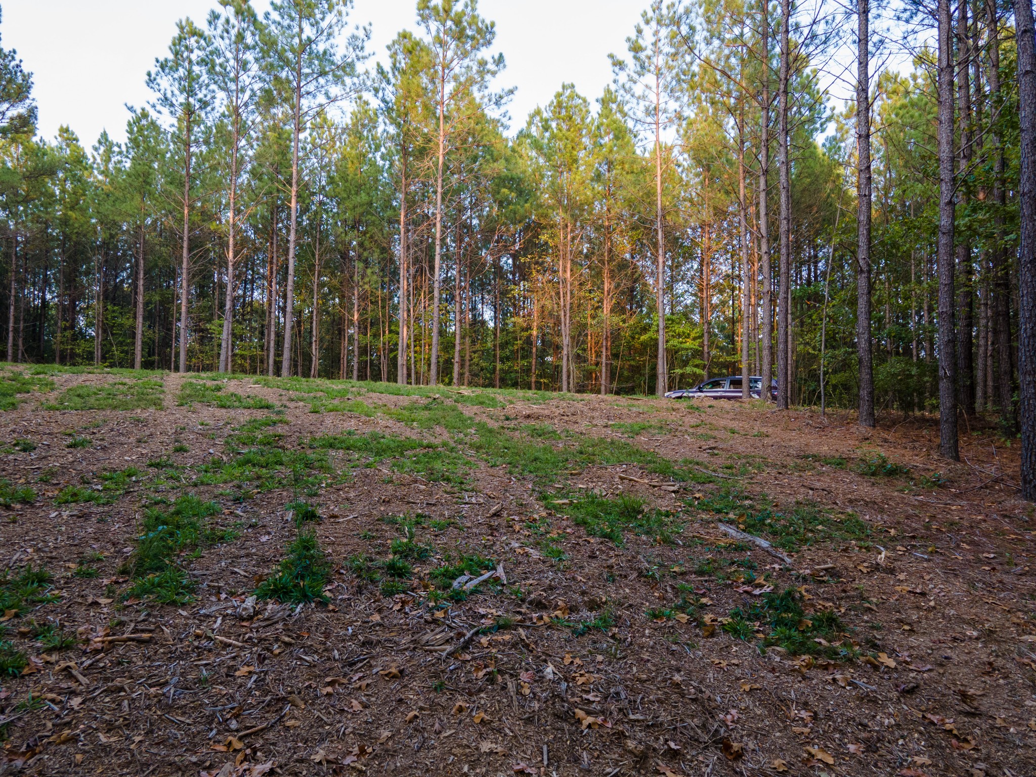 538 Seiber Ridge Road