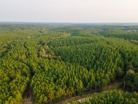 538 Seiber Ridge Road Hohenwald TN 38462