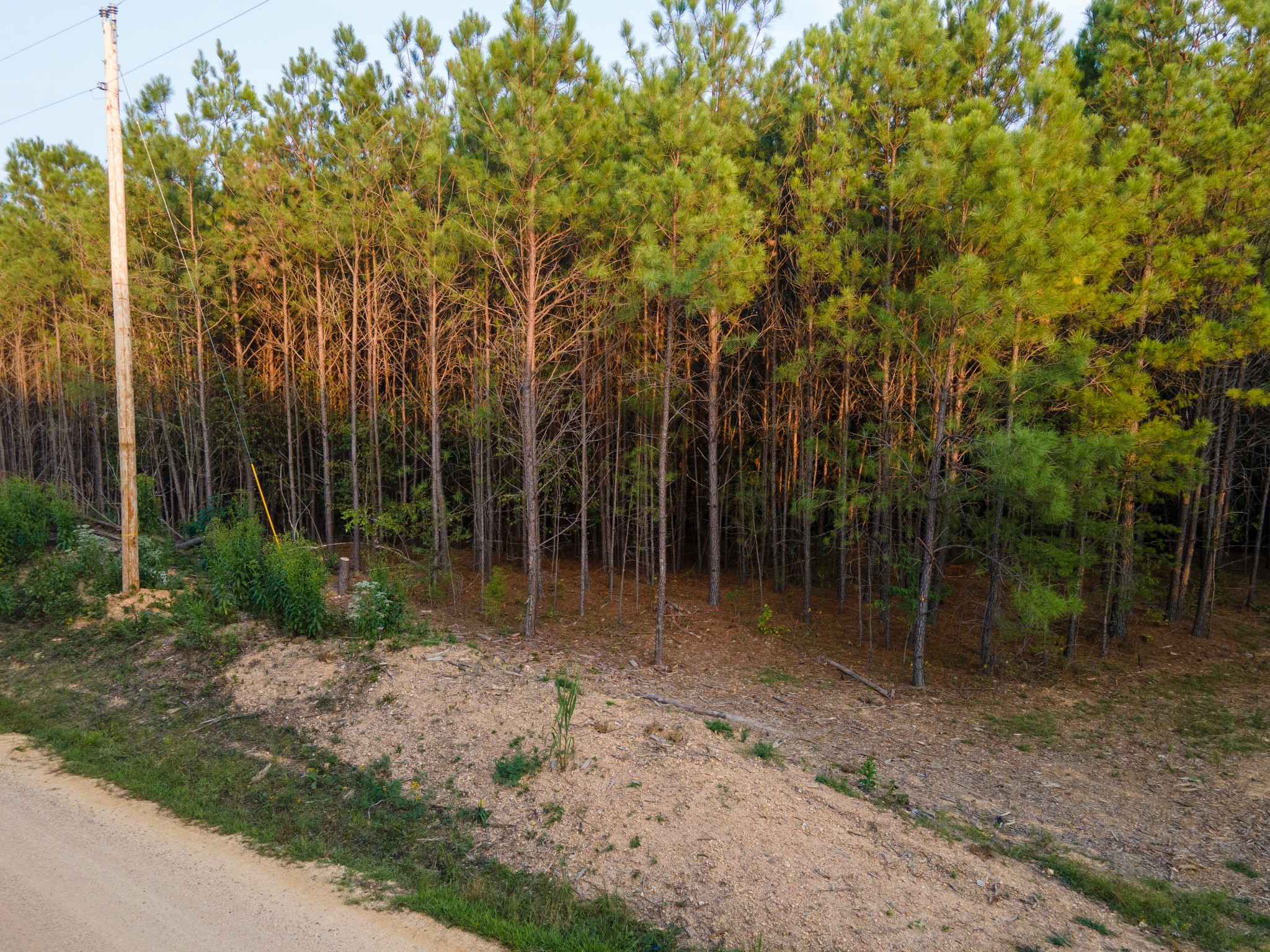 538 Seiber Ridge Road