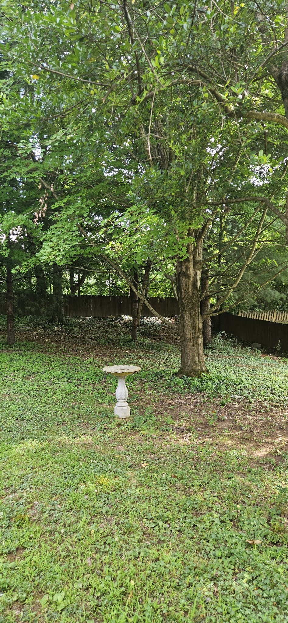 Clarksville, Tennessee 37043, United States, 3 Bedrooms Bedrooms, ,2 BathroomsBathrooms,Residential,Active,173758