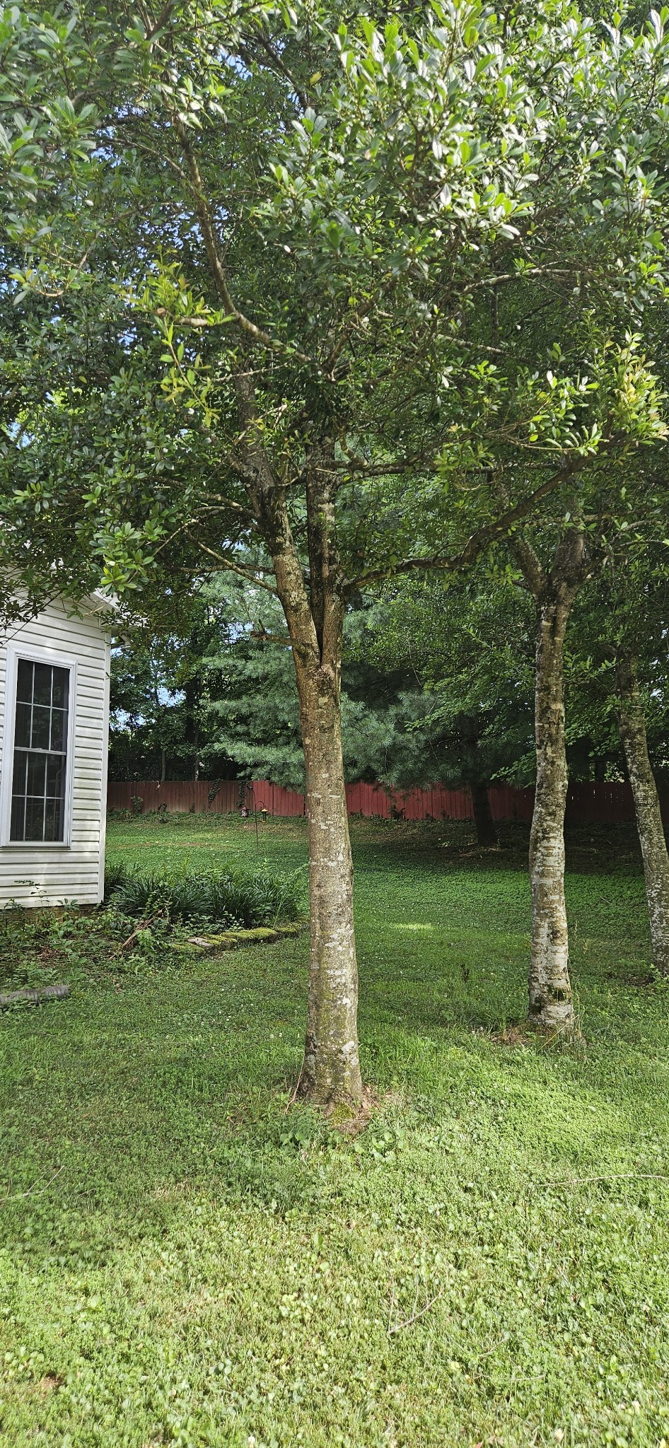 Clarksville, Tennessee 37043, United States, 3 Bedrooms Bedrooms, ,2 BathroomsBathrooms,Residential,Active,173758