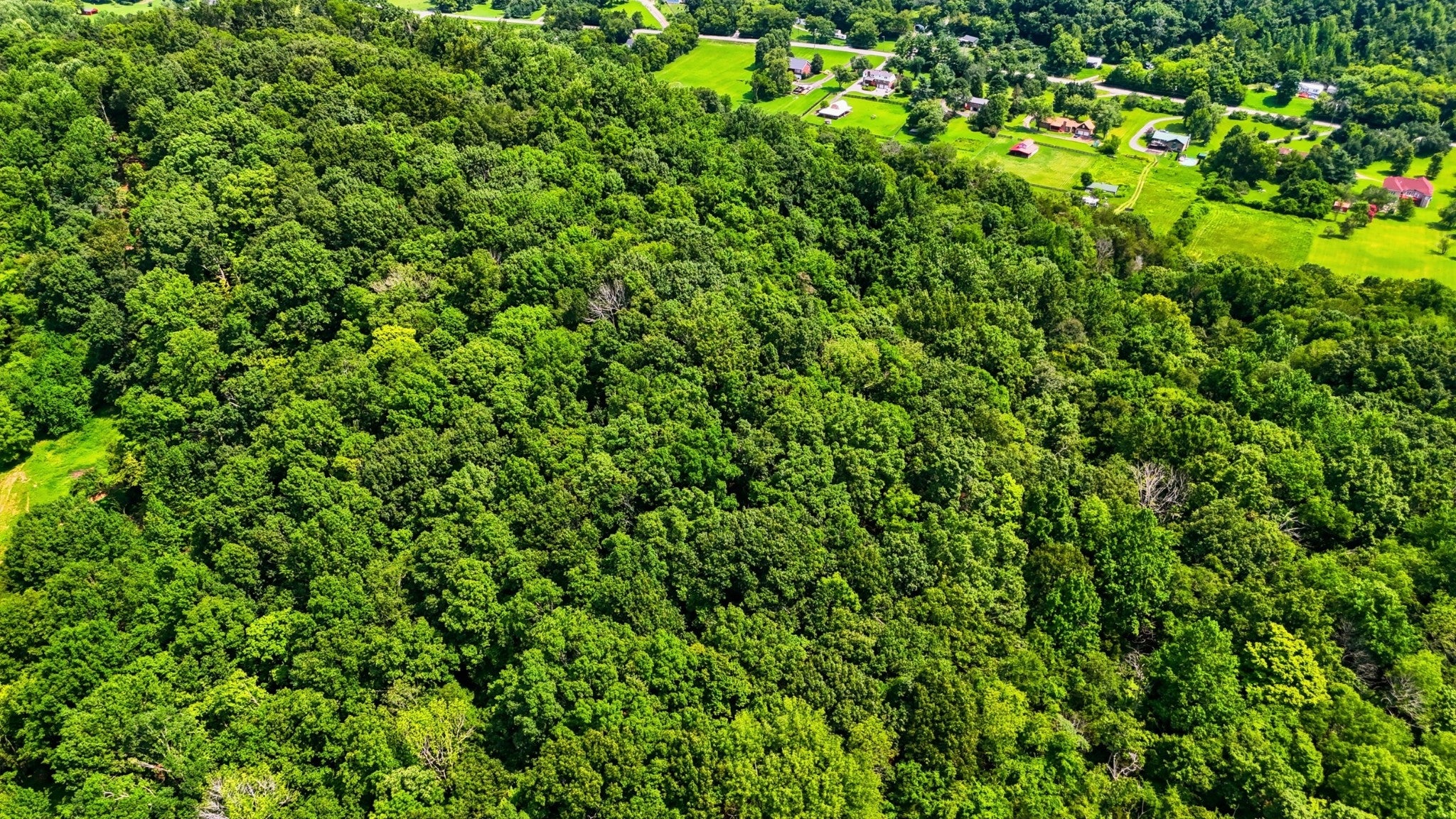 listing at 0 Whites Creek Pike Whites Creek, Whites-Creek