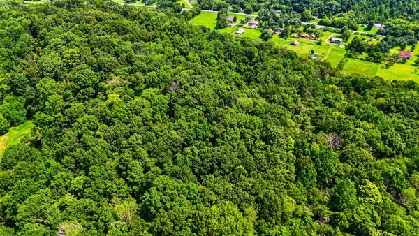 0 WHITES CREEK PIKE, WHITES CREEK, TN 37189 - Image 5c7b08a393952393064e85a2efe91cda/720948658