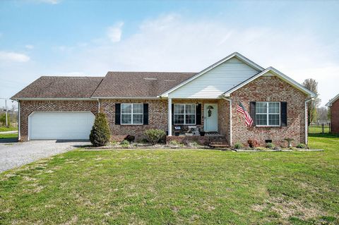 105 Big Hickory Ct Smithville TN 37166