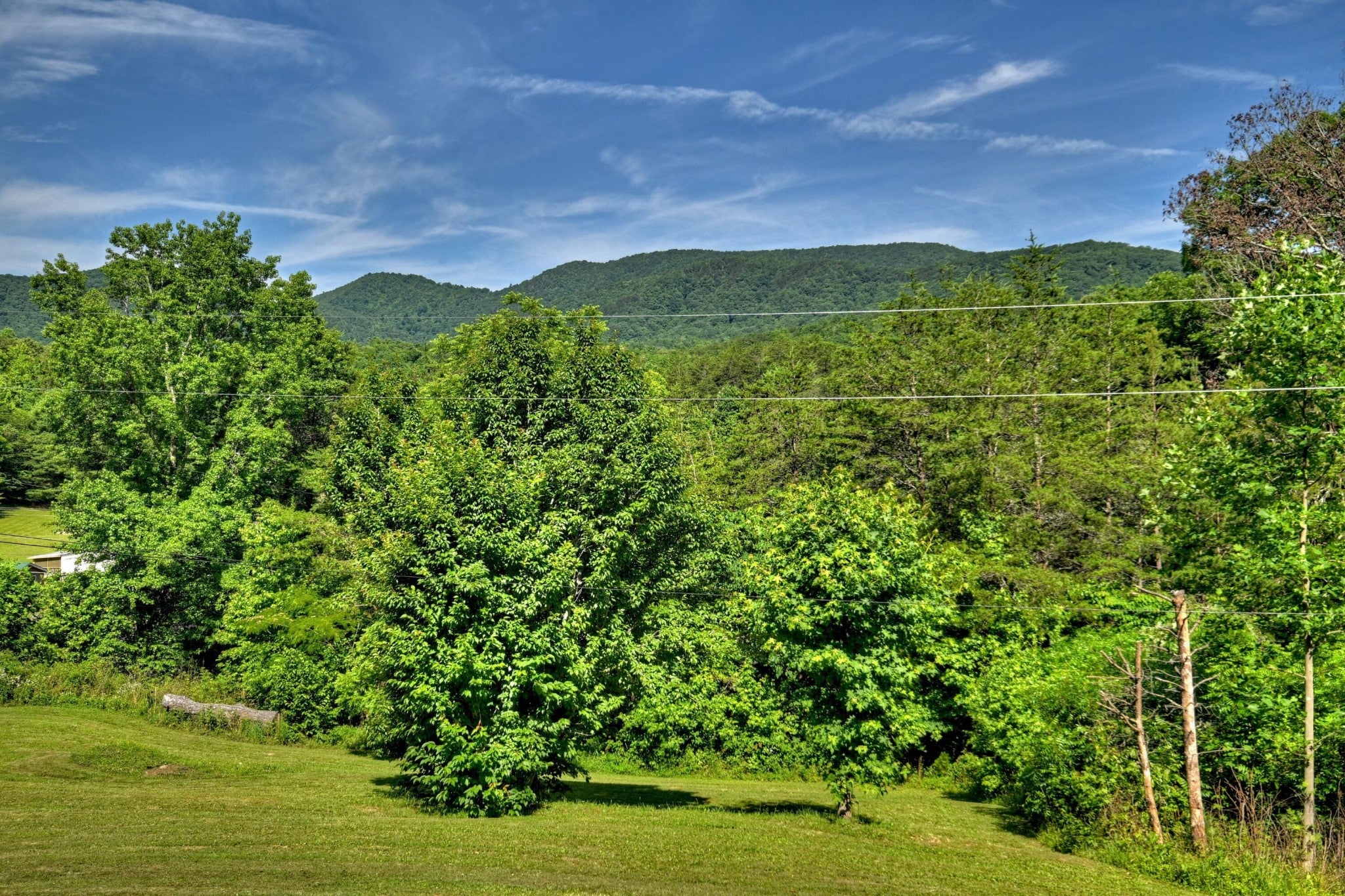 3892 Highway 68