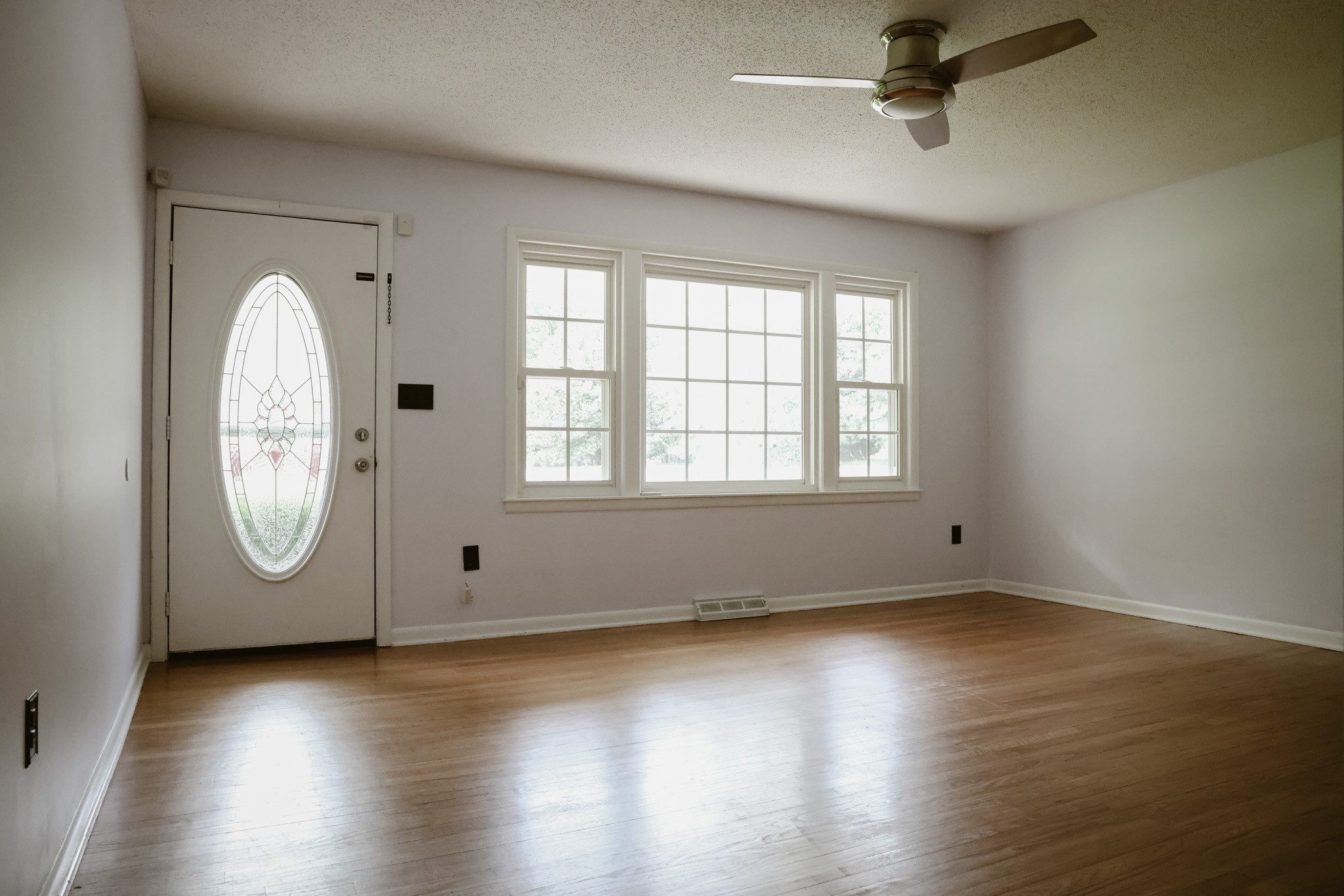 254 Shane Lee Cir