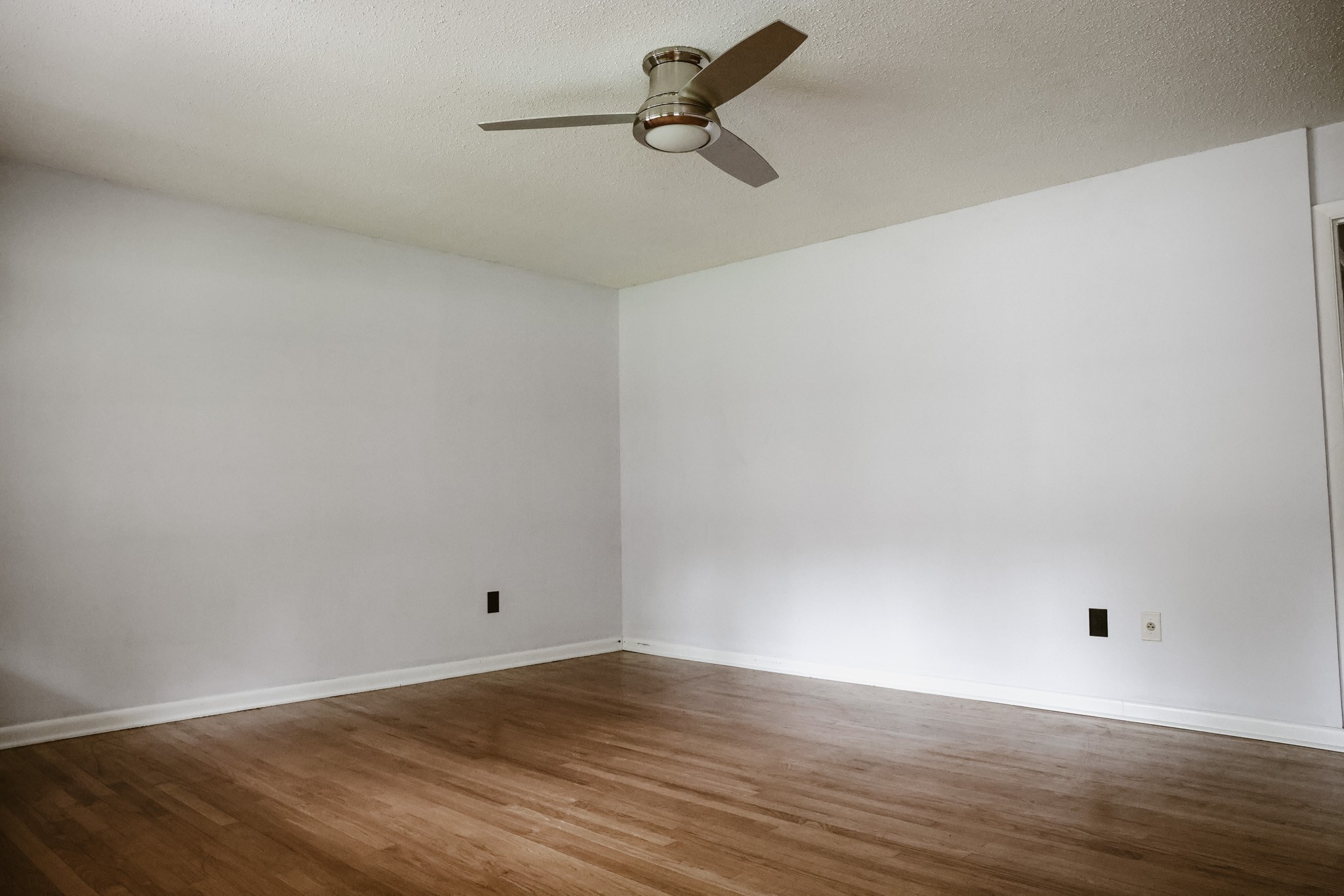 254 Shane Lee Cir
