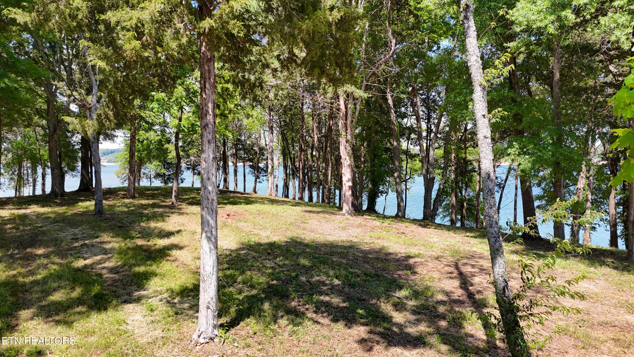 122 Ridge Point Tr