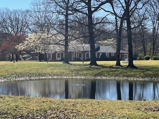 1386 CHISHOLM RD, CYPRESS INN, TN 38452 - Image 5cdcd402f584e3780cb8438dadcdfd49/719688028
