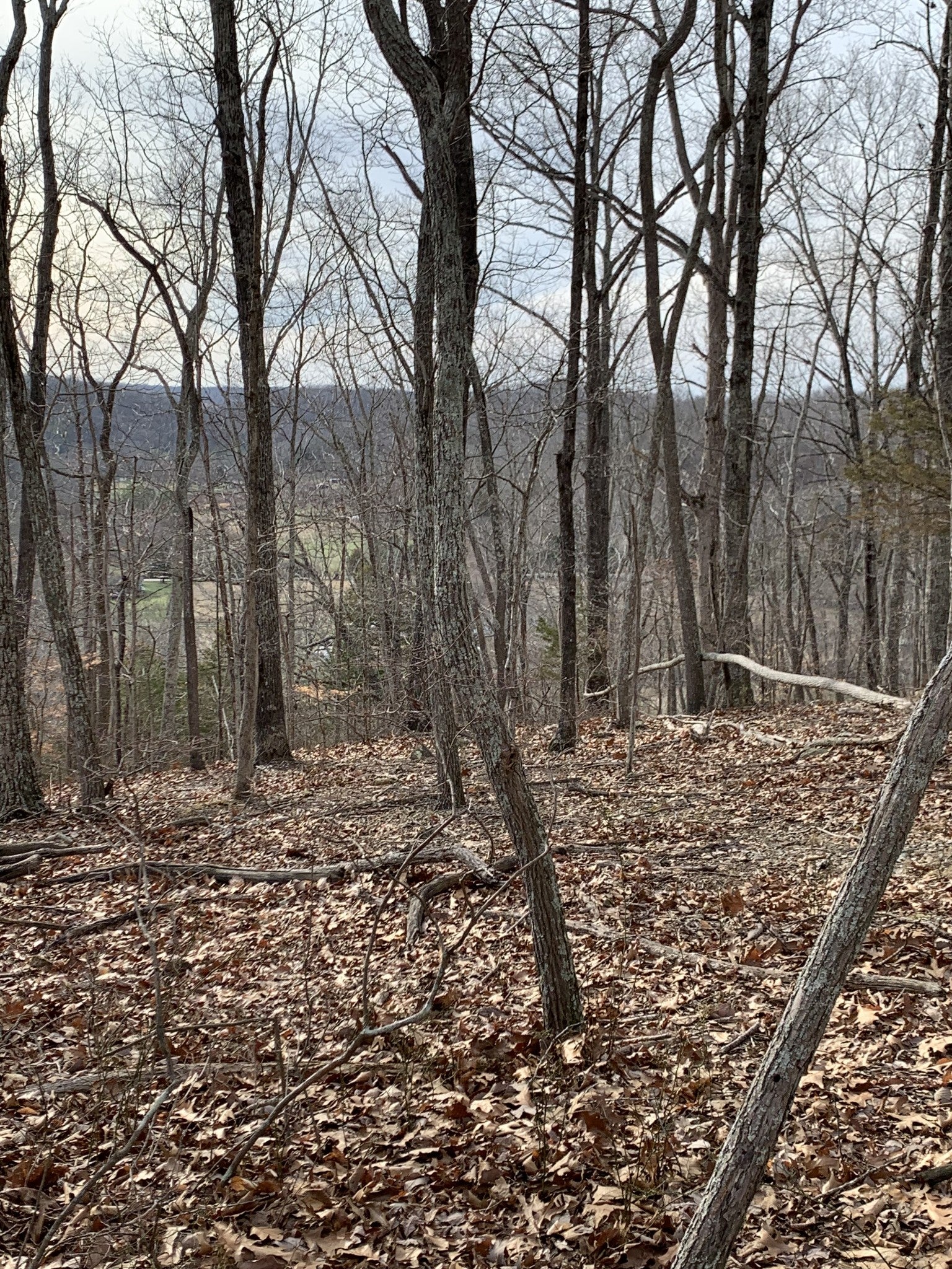 listing at 0 Hester Beasley Rd, Nashville