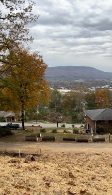 40 CLIFT TRL, ROSSVILLE, GA 30741 - Image 5ce97d2ea2cee8bf07eb575a11a8dfb9/1258805904