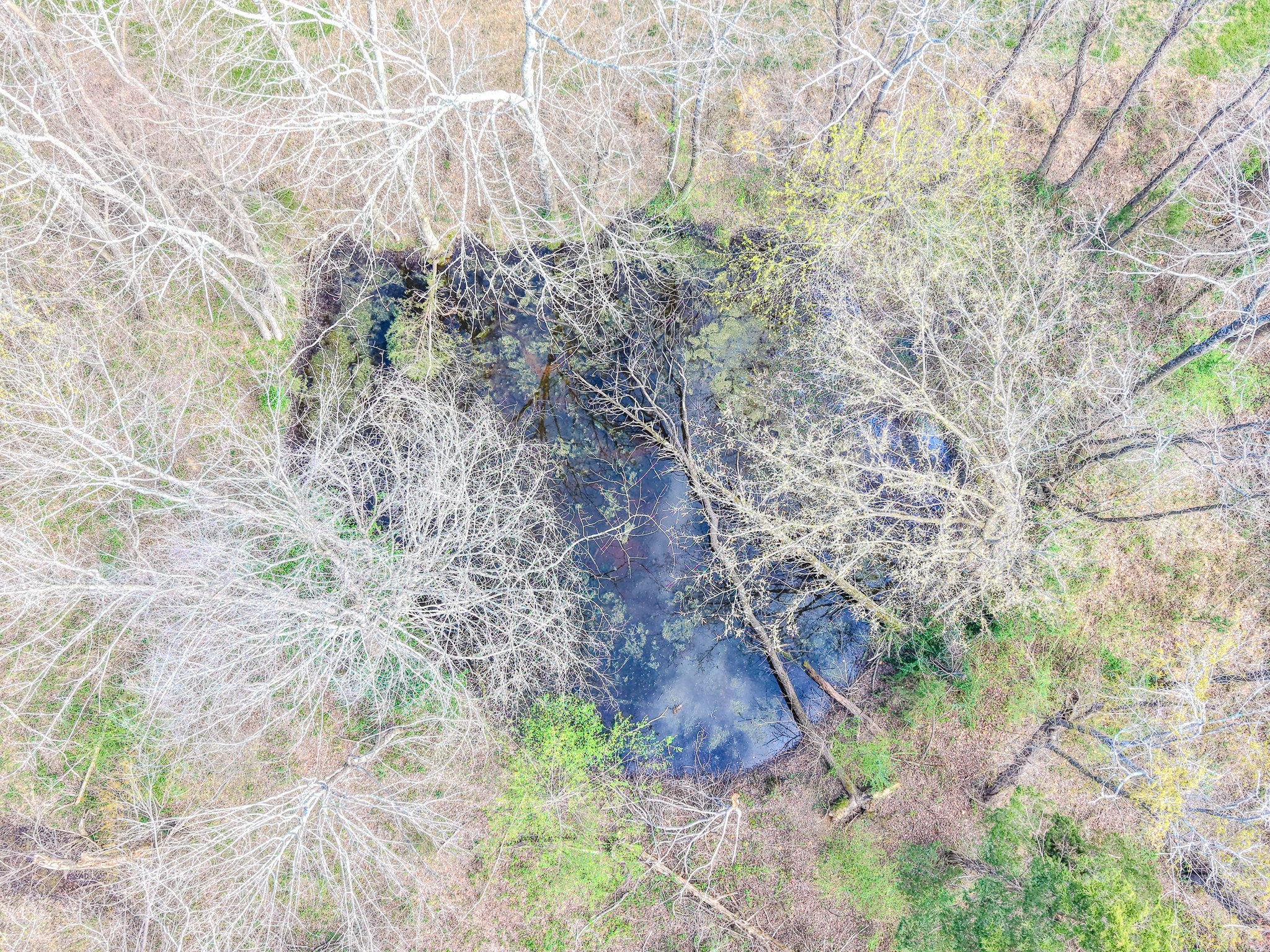 4314 Woodrow Wilson Rd