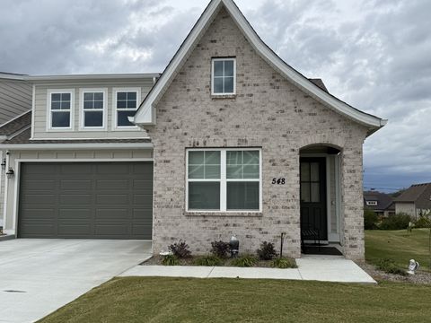 548 Byres Ct Smyrna TN 37167