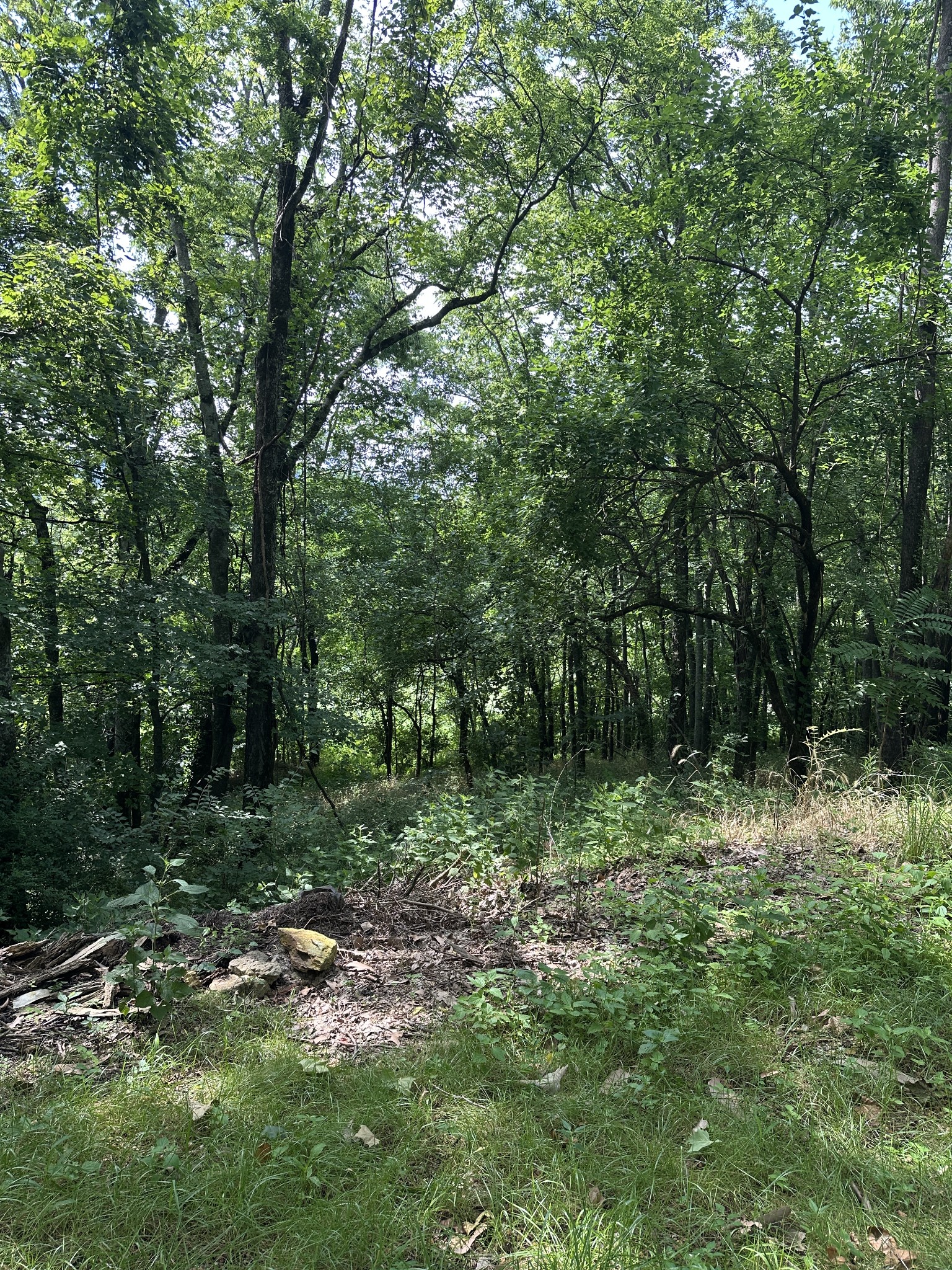 322 Stoneybrook Rd