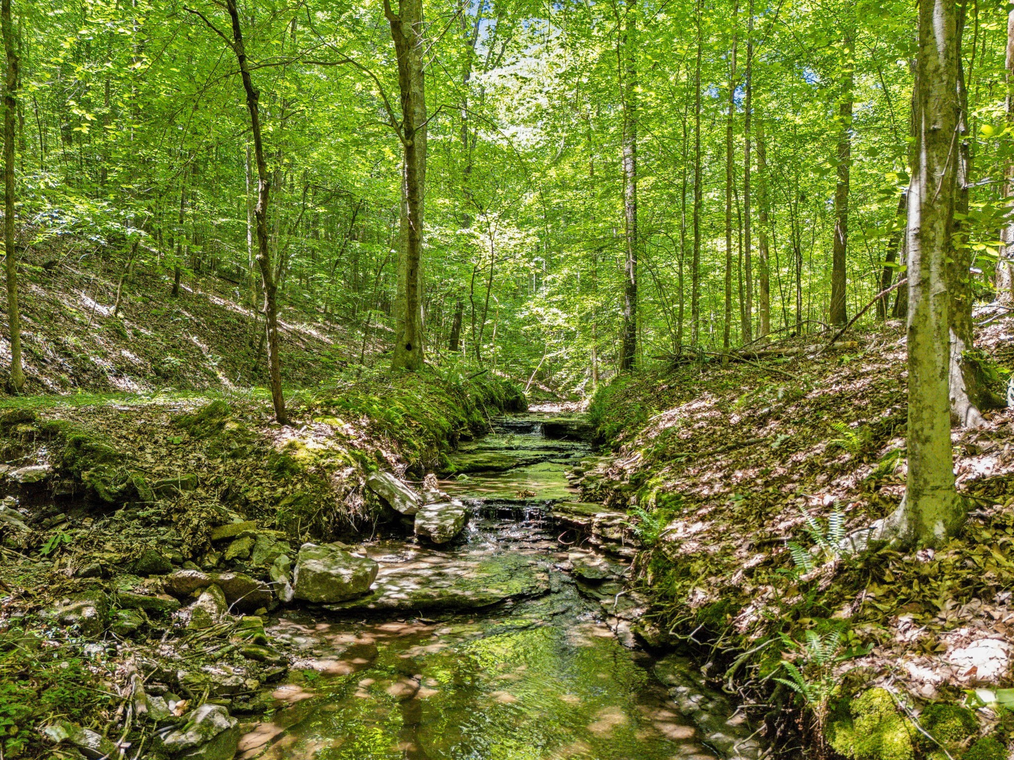 1 Crocker Springs Rd