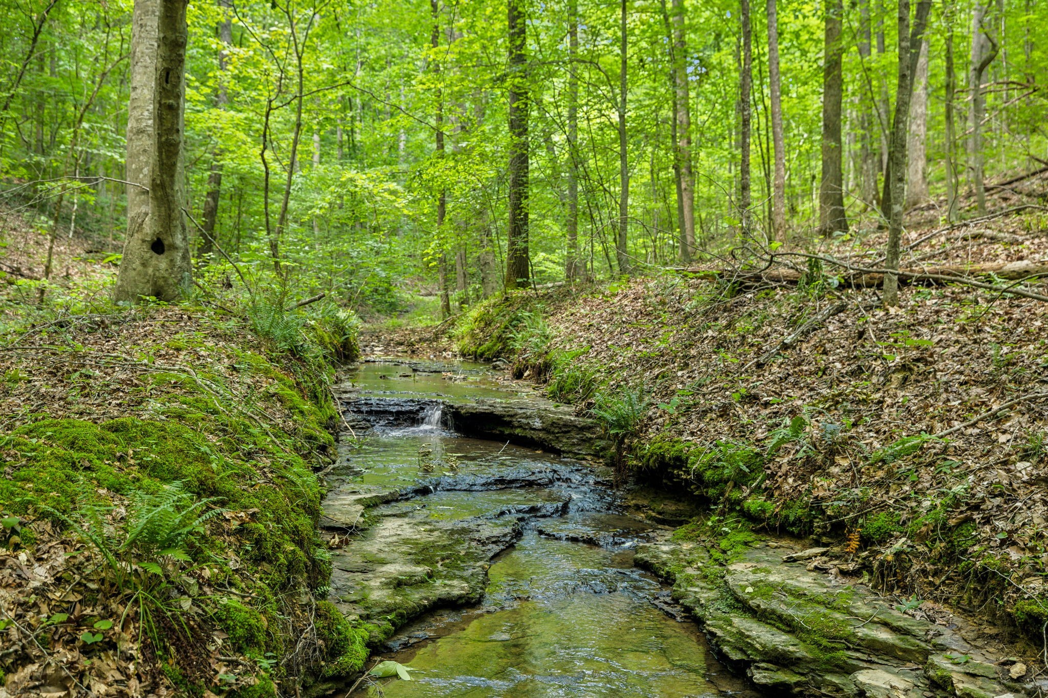 1 Crocker Springs Rd