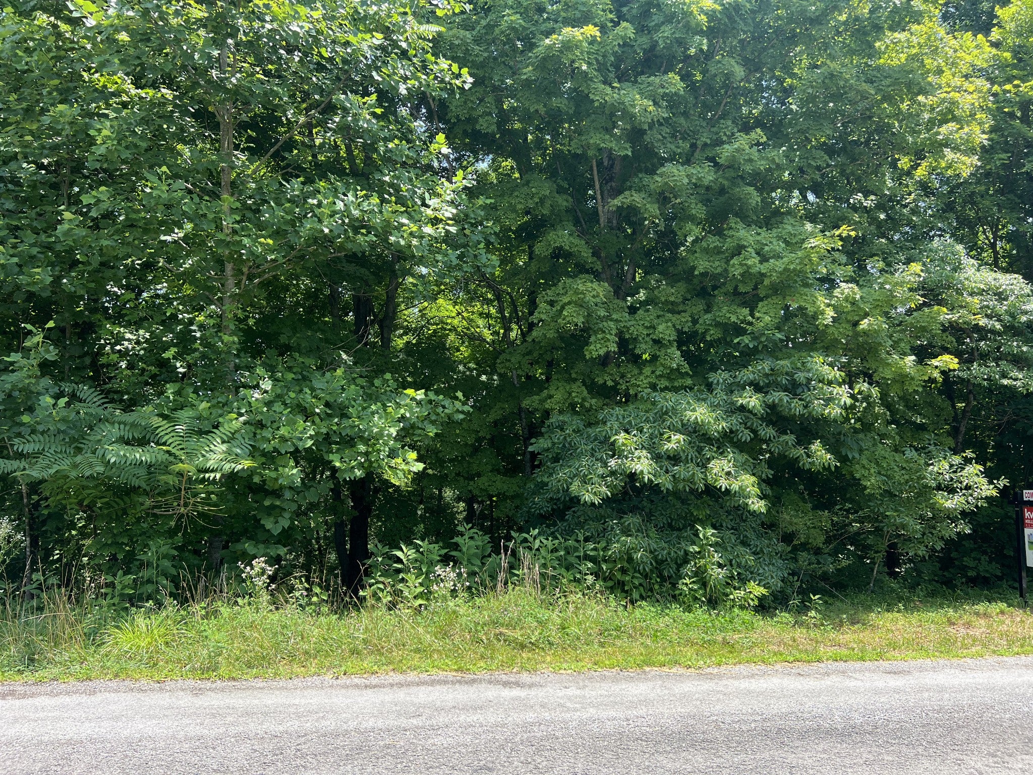 0 Lafever Ridge Rd