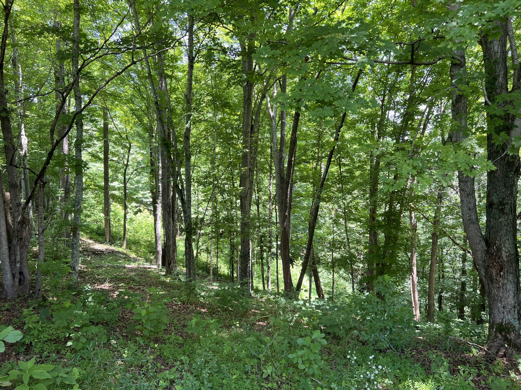 0 Lafever Ridge Rd