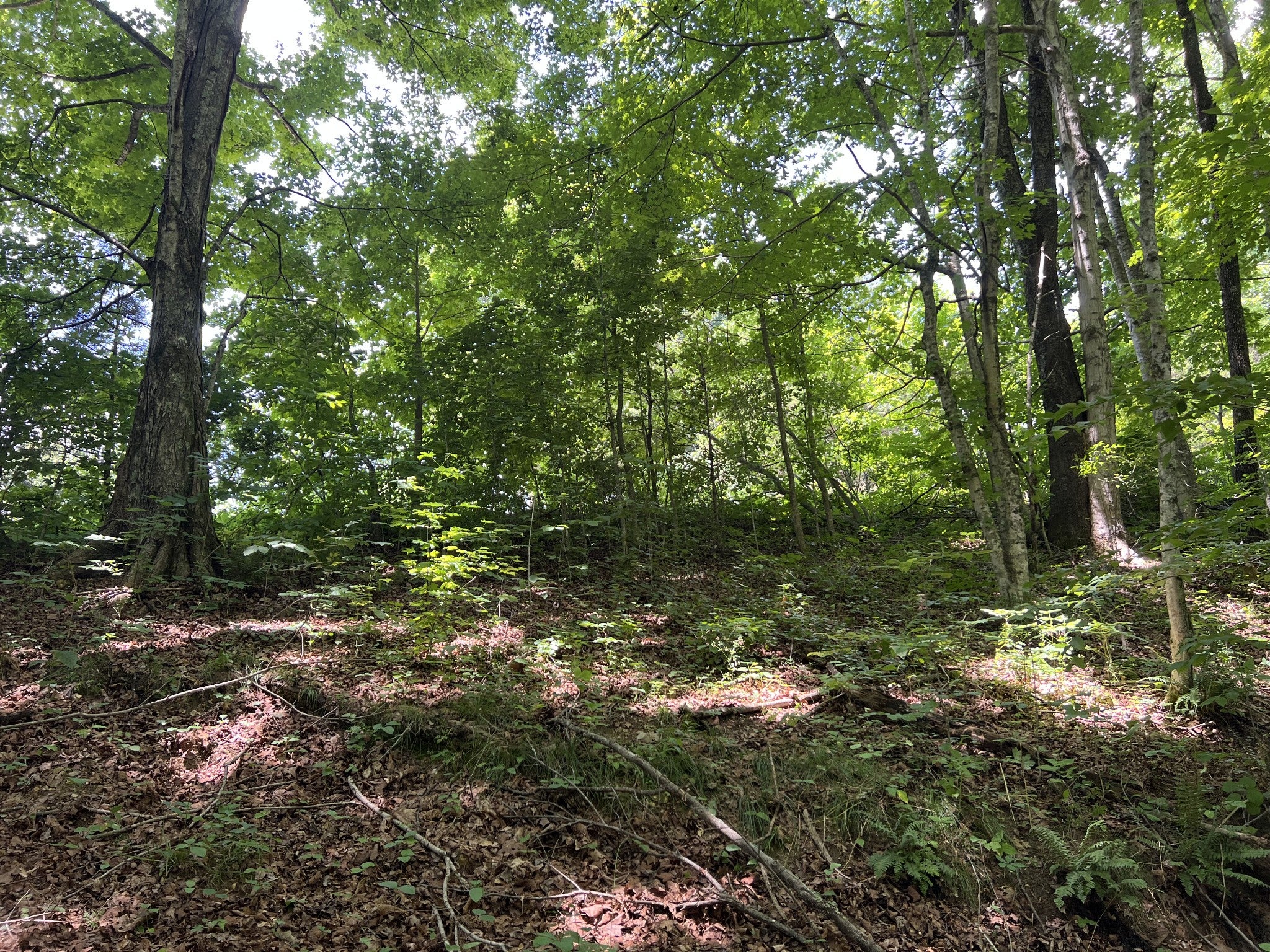 0 Lafever Ridge Rd