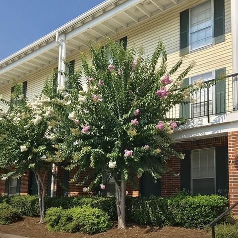 900 Mountain Creek Rd Unit K 143, Chattanooga, TN 37405 - MLS#: 2767964