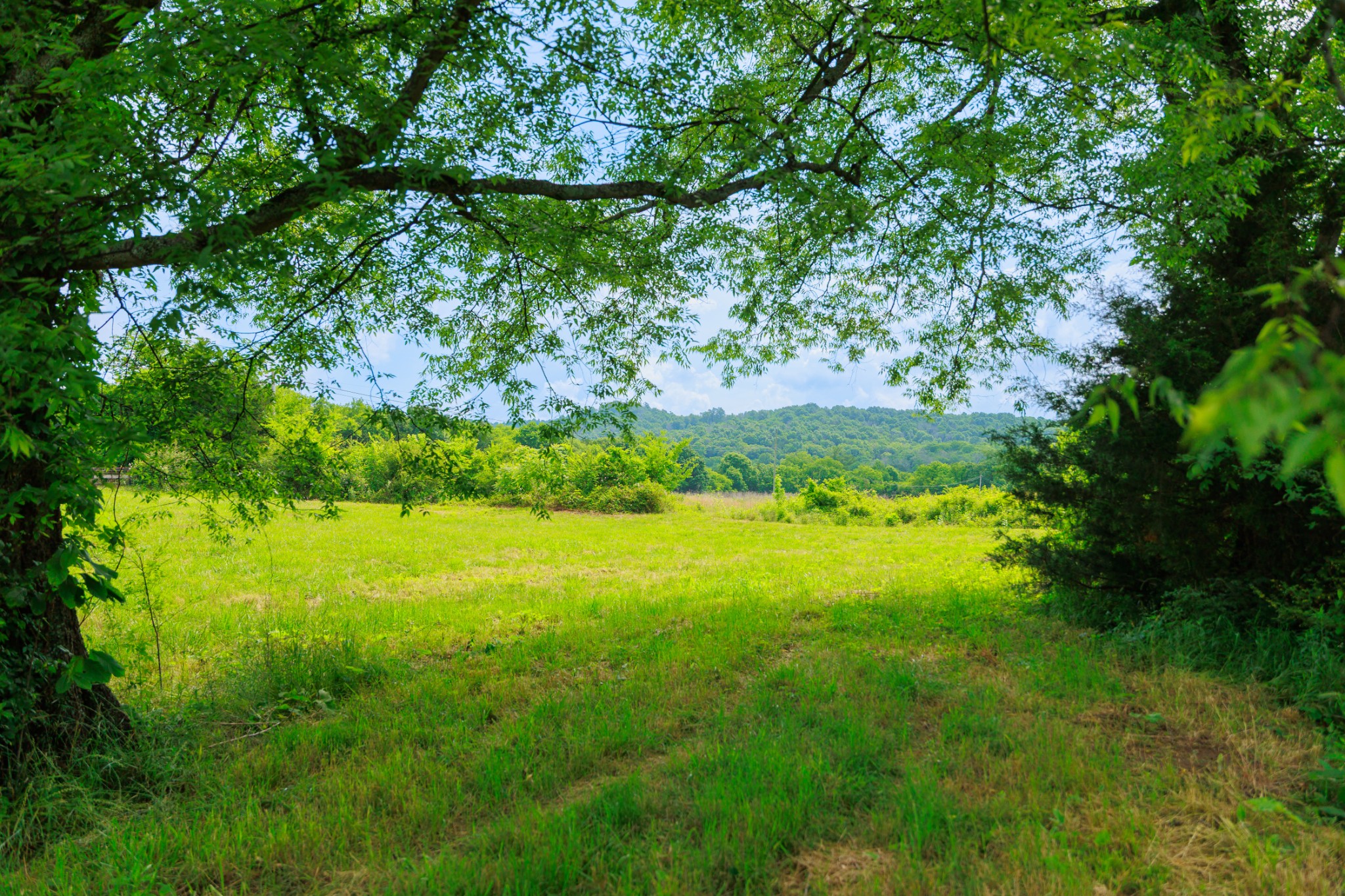 8100 Eaton Hollow Rd