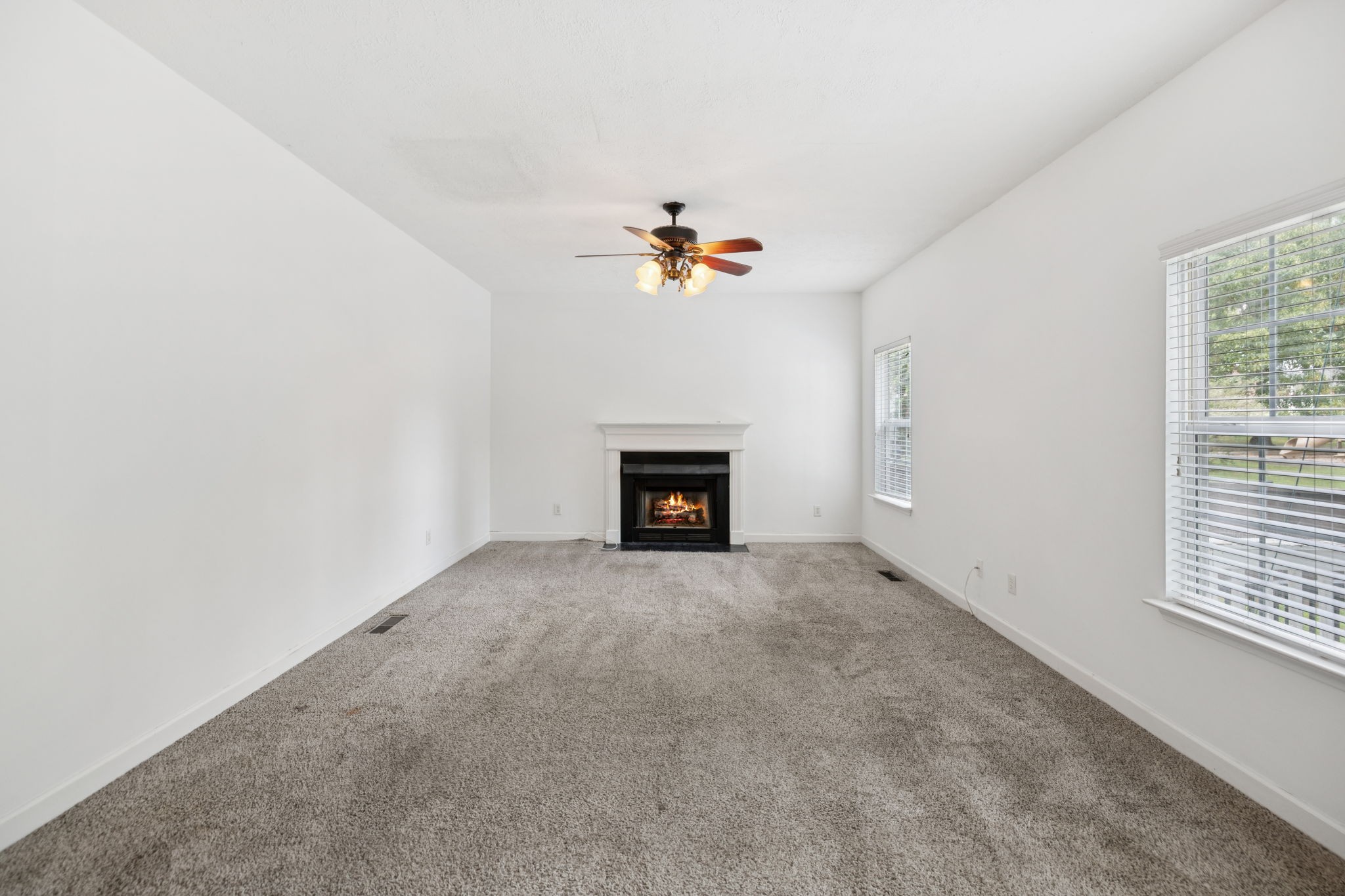 313 Holly Ln