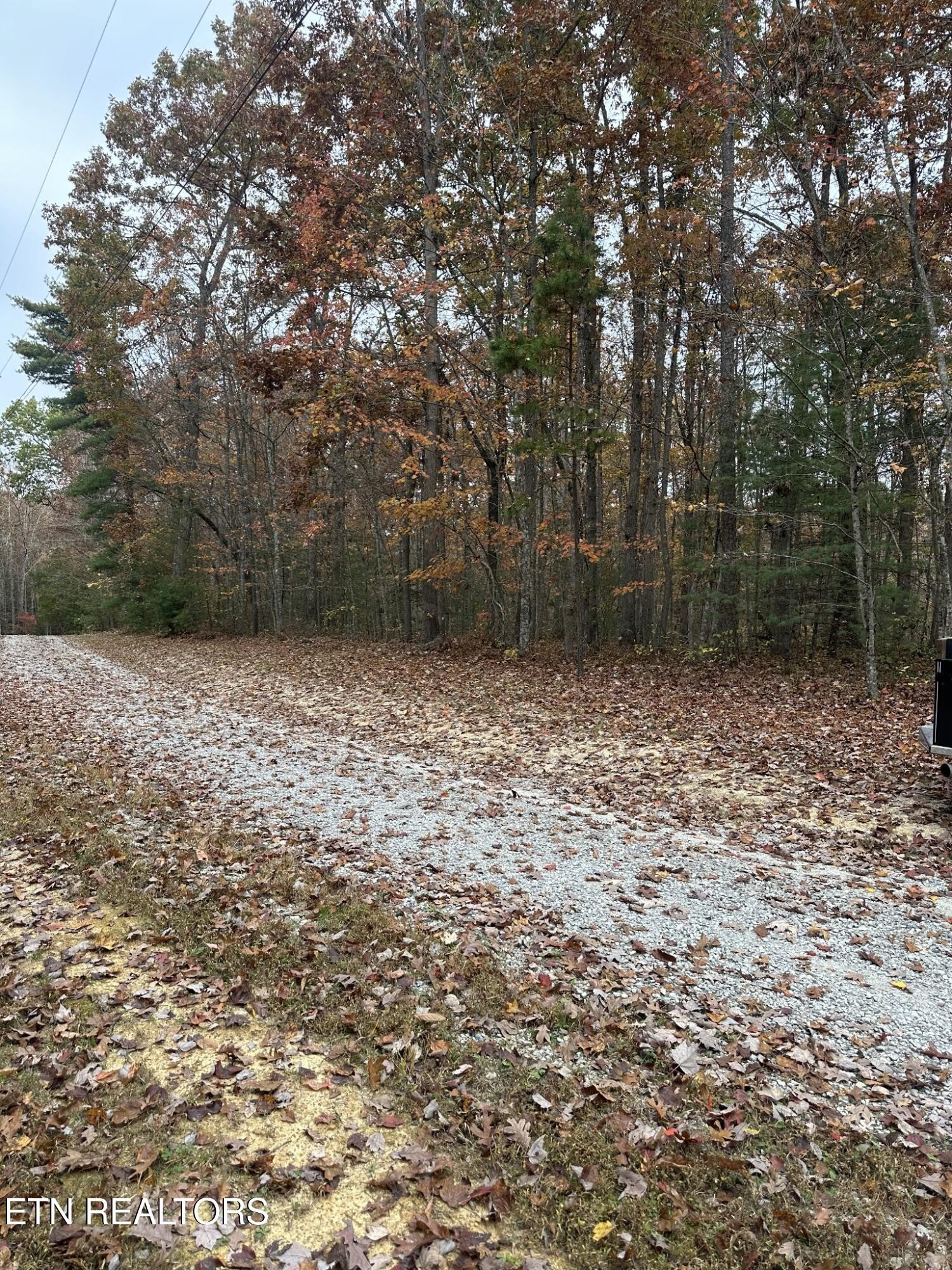 6 Wilderness Tr