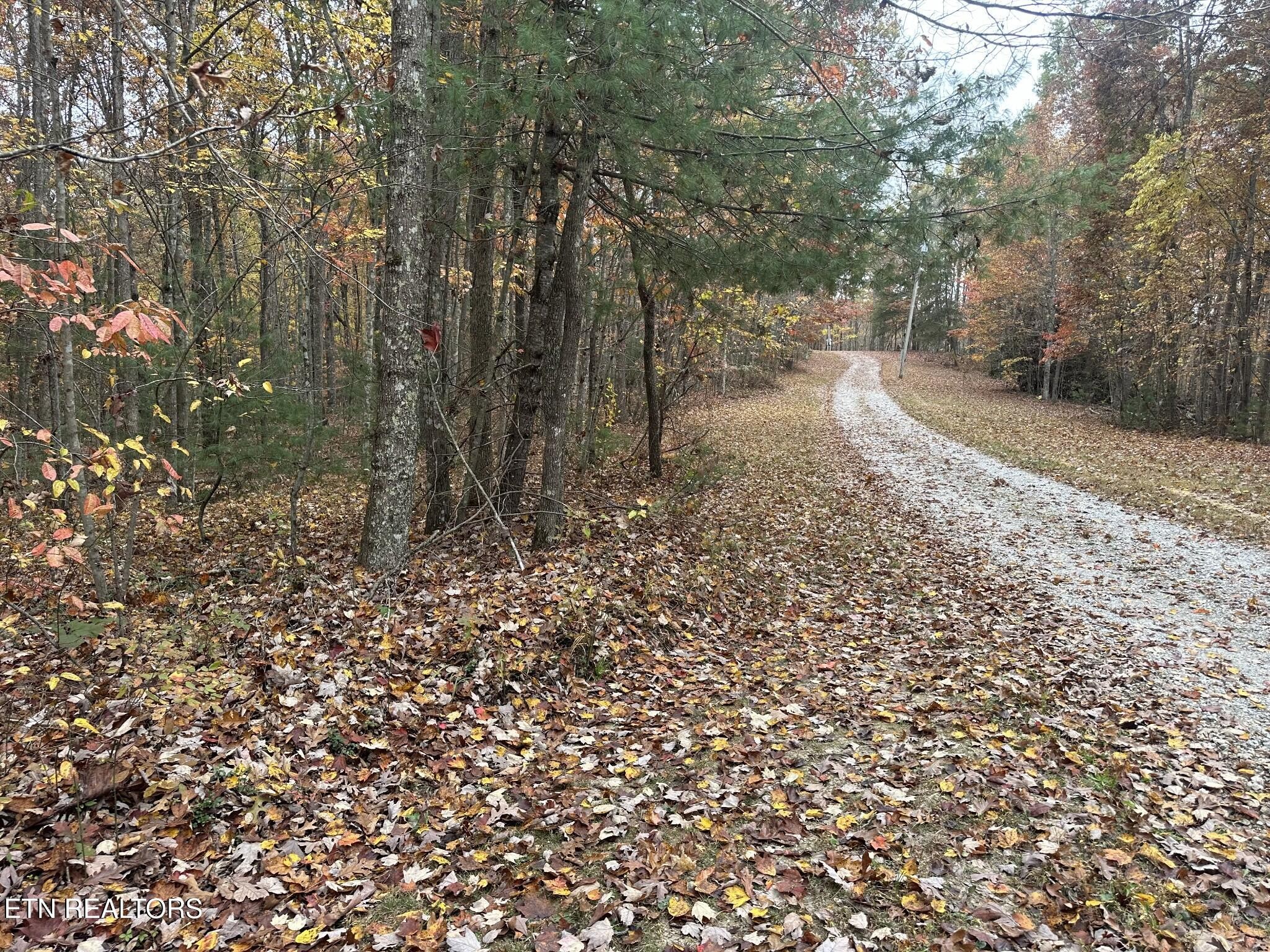 6 Wilderness Tr