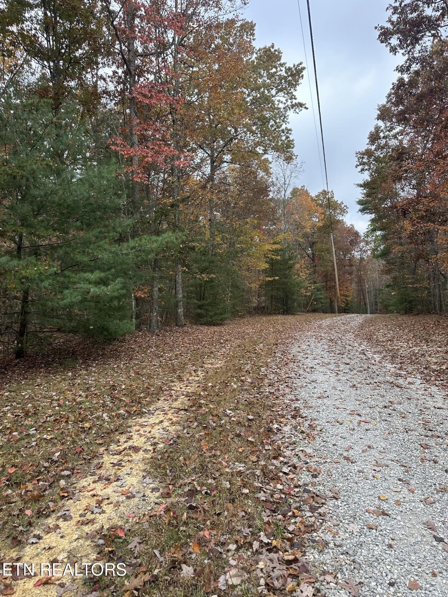 6 Wilderness Tr