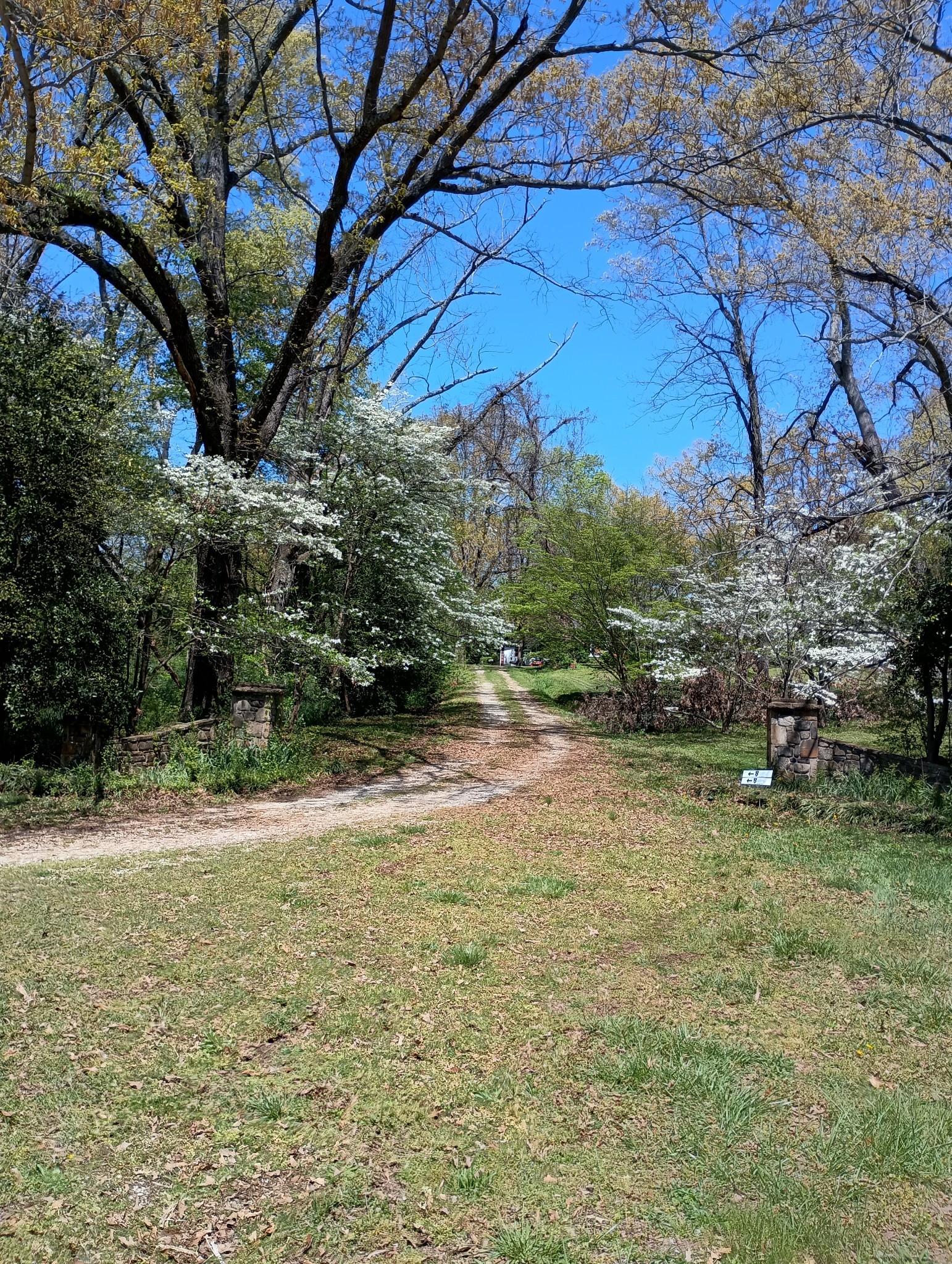 240 Dogwood Dr