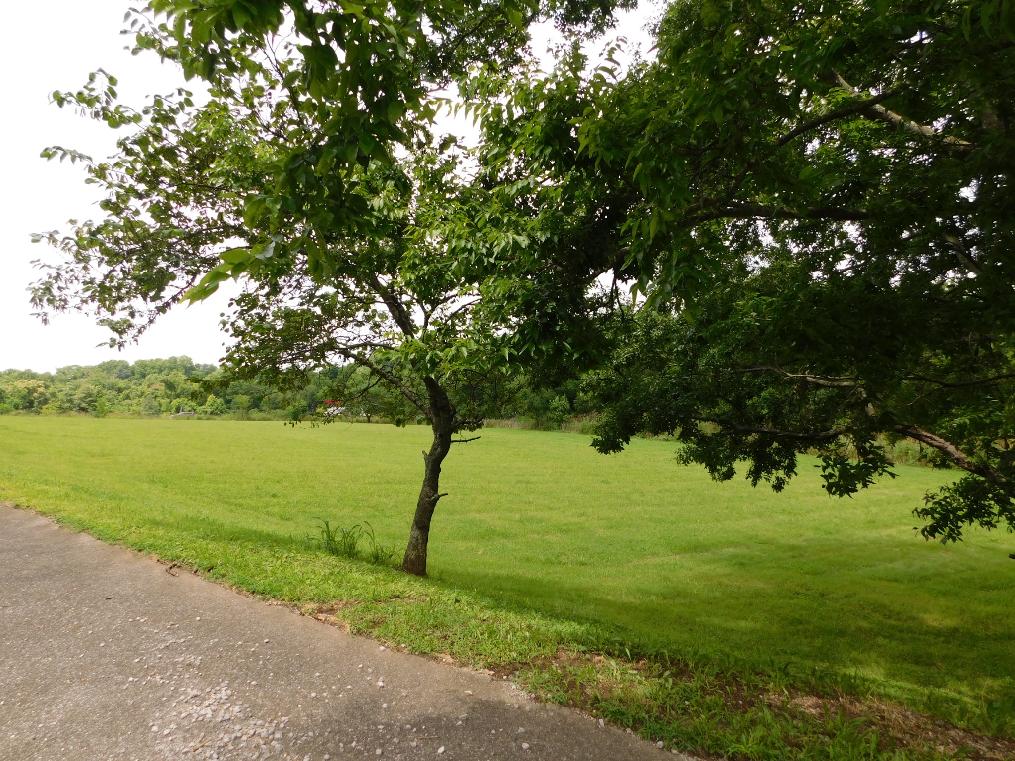 1694 Blue Moon Rd