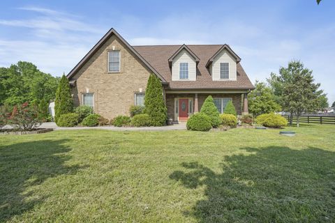 1141 Winding Branch Dr Christiana TN 37037