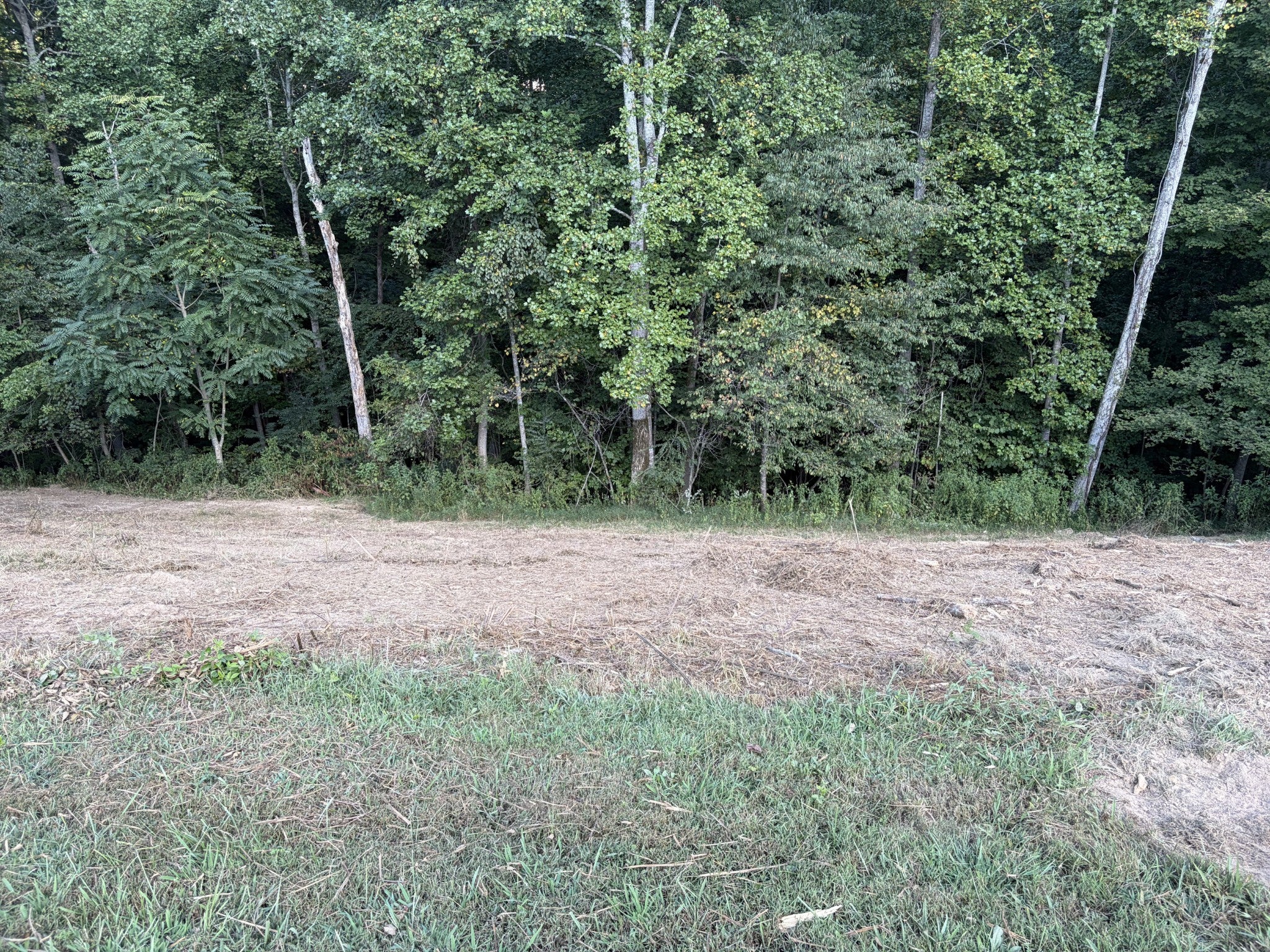 0 Countrywood Ln