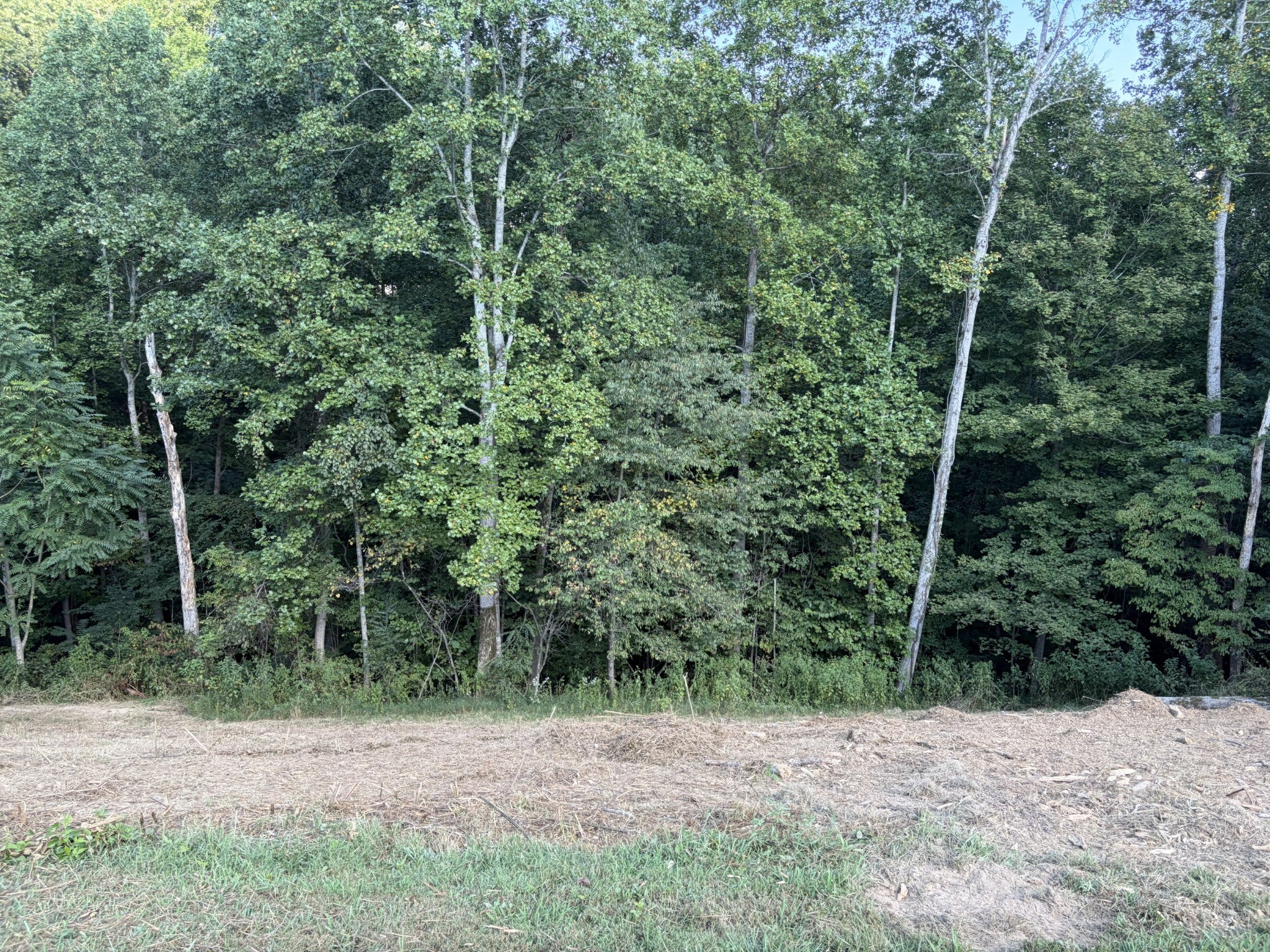 0 Countrywood Ln