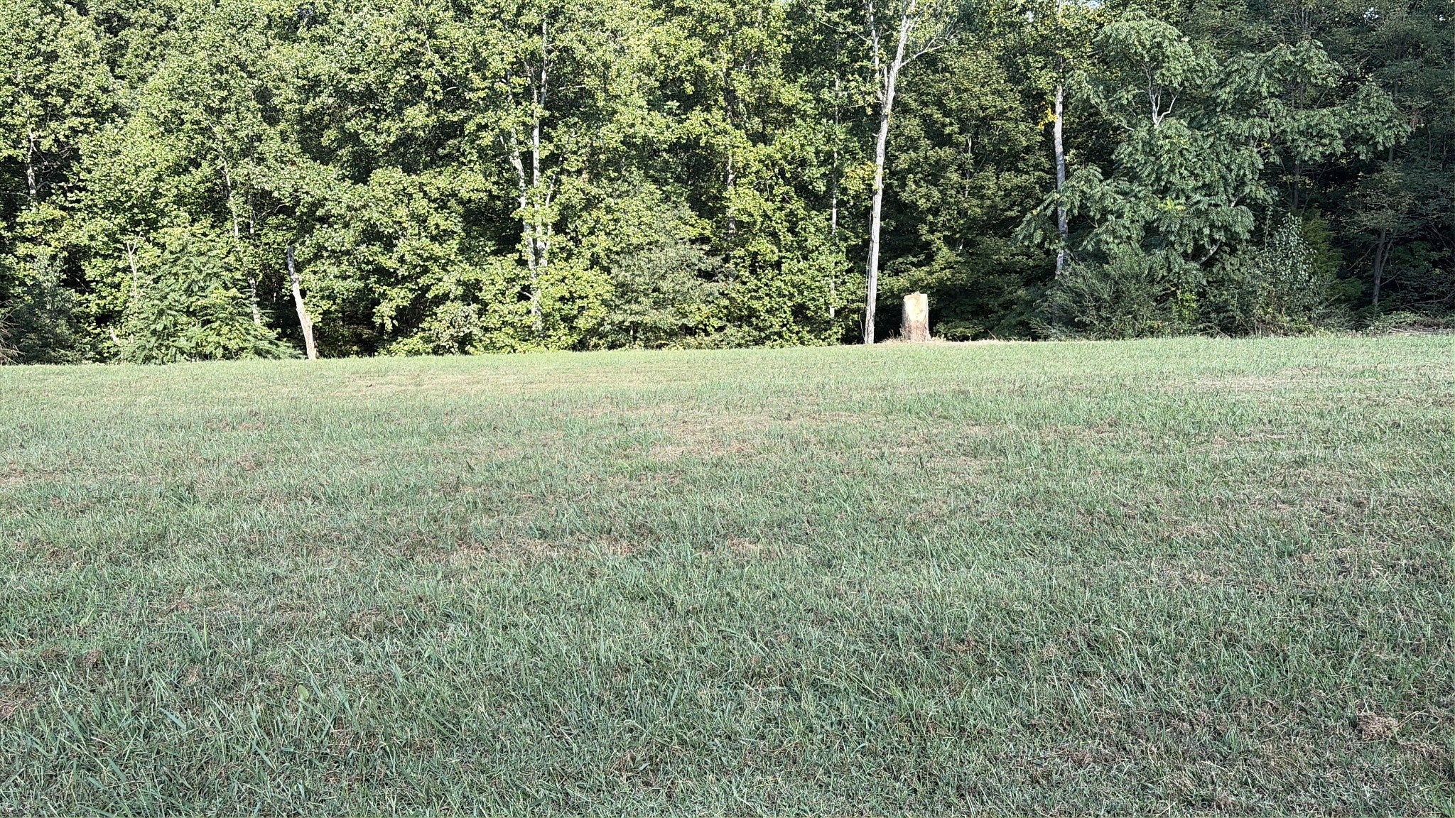 0 Countrywood Ln