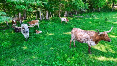 1024 TN 64 Shelbyville TN 37160