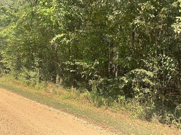 0 TOW BOAT LN Adamsville TN 38310