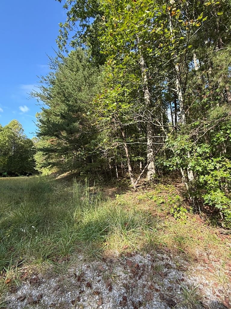 Photo 1 of 3 — 0 W Laurel Way, Monterey, TN 38574