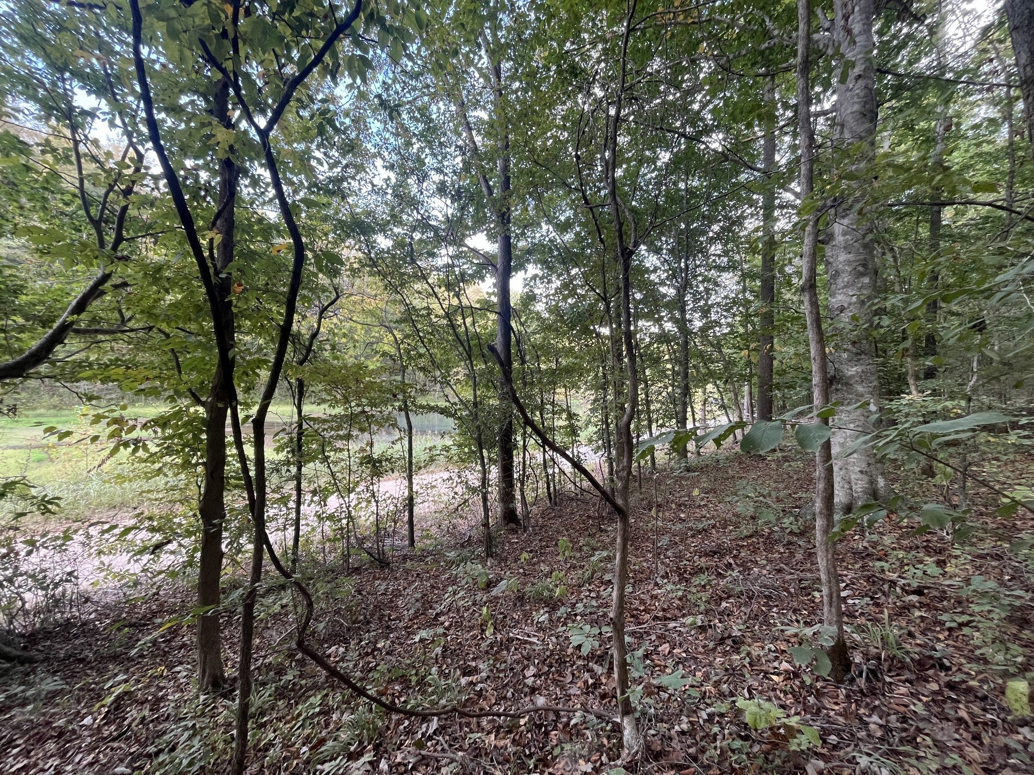0 Rainbow Lake Rd