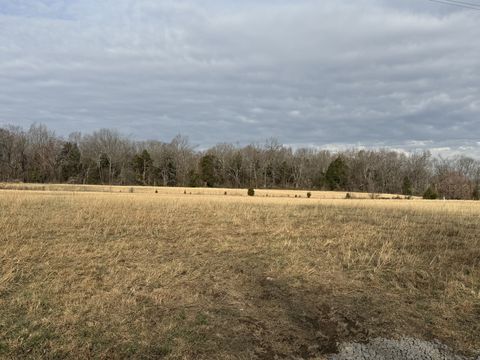 783 Mount Vernon Rd Bethpage TN 37022