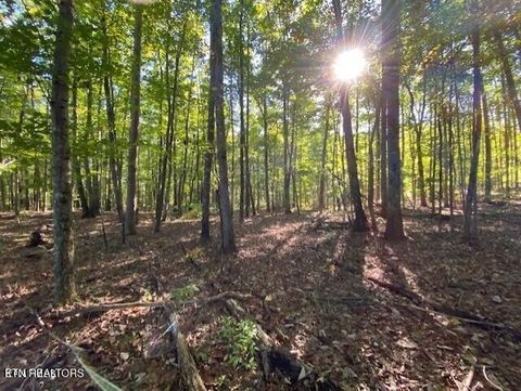 0 Partridge Tr Grandview TN 37337