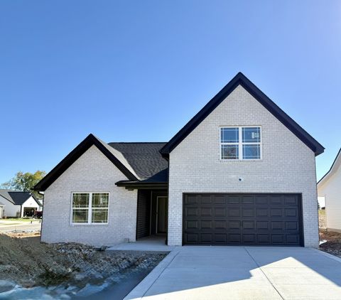 1135 Javier Dr Springfield TN 37172