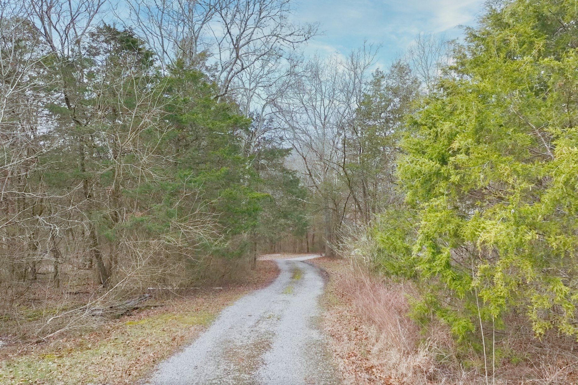 247 Carter Ln