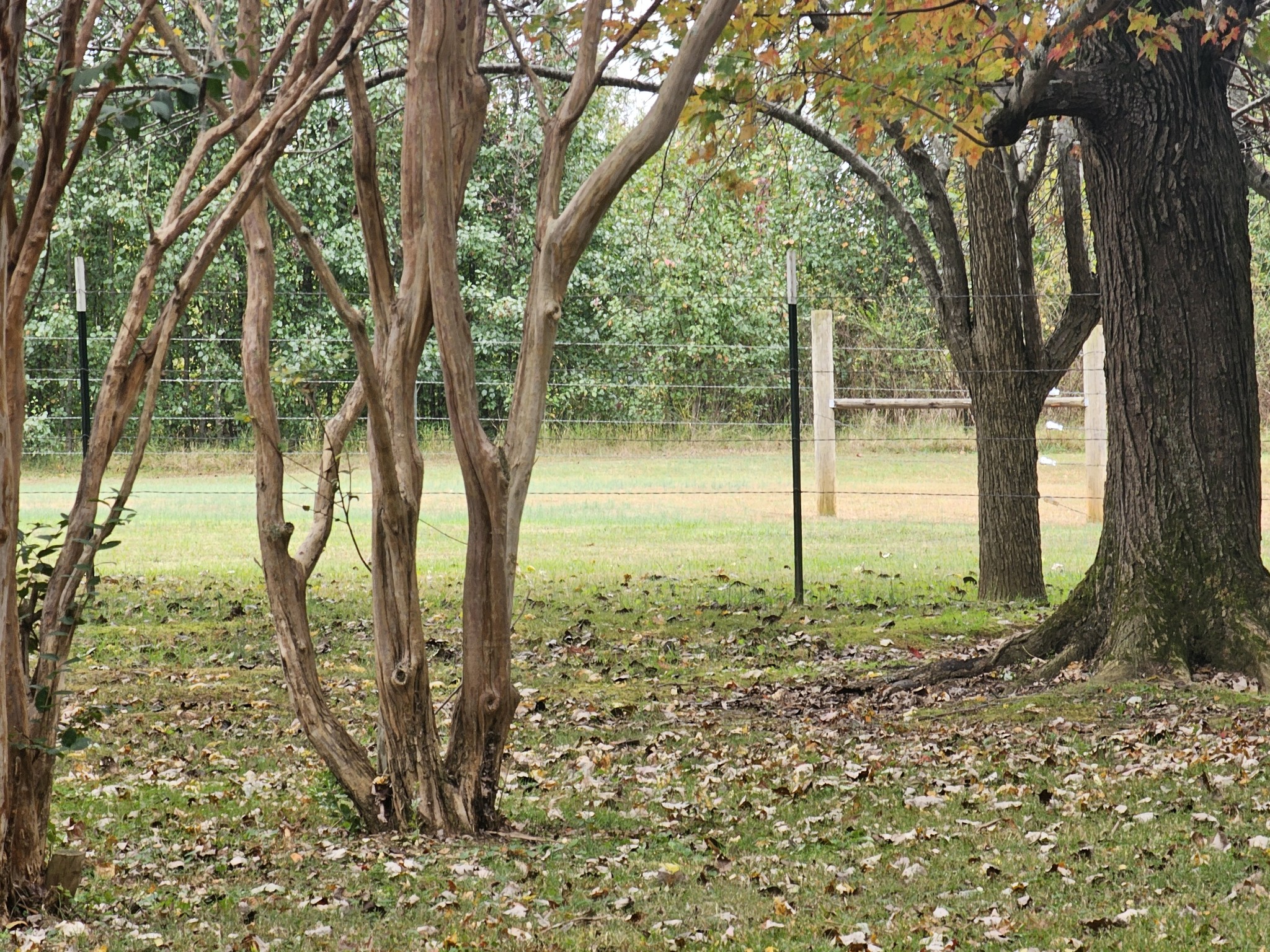 16829 David Crockett Pkwy W