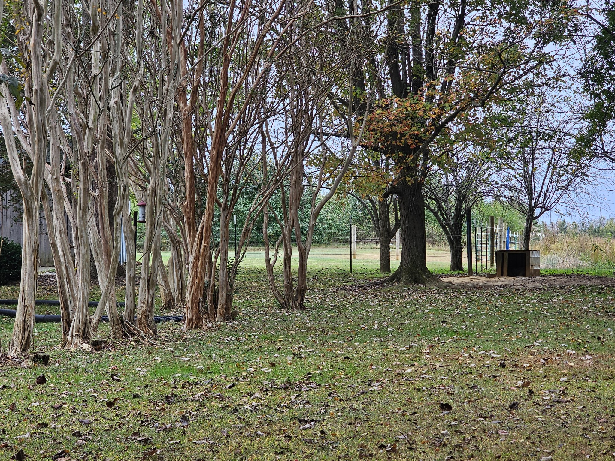 16829 David Crockett Pkwy W