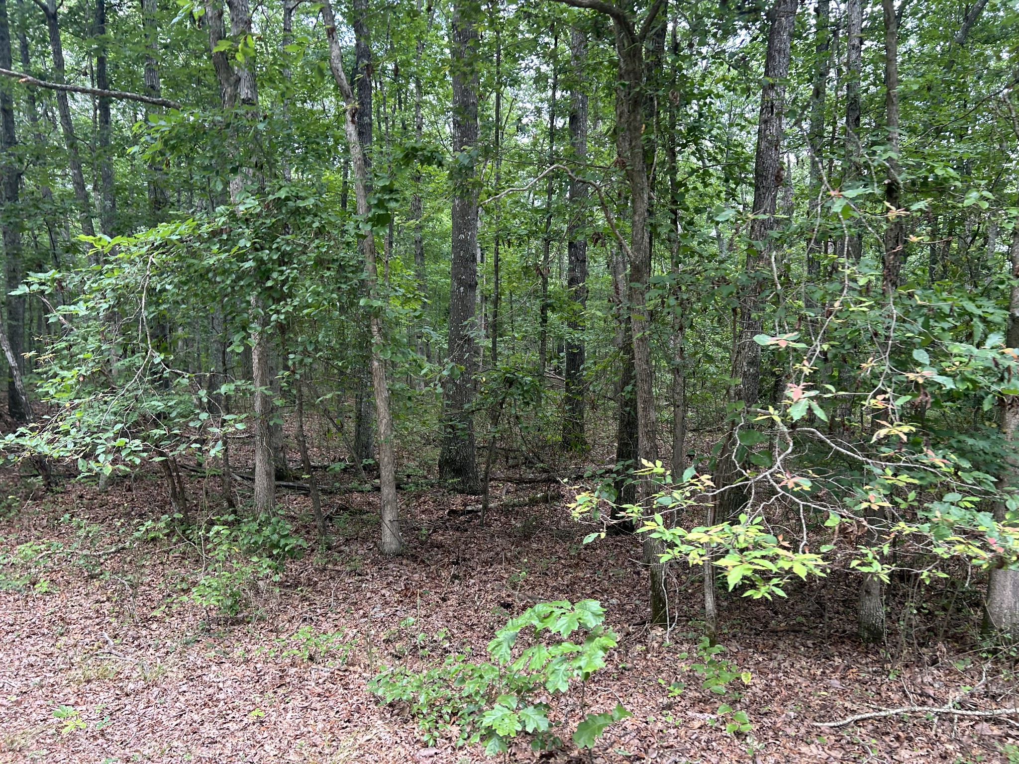 170 Deer Run Loop